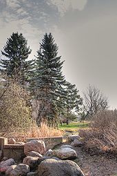 Hawrelak Park, em Saskatchewan River Valley do Norte tomada de um stream-cama.